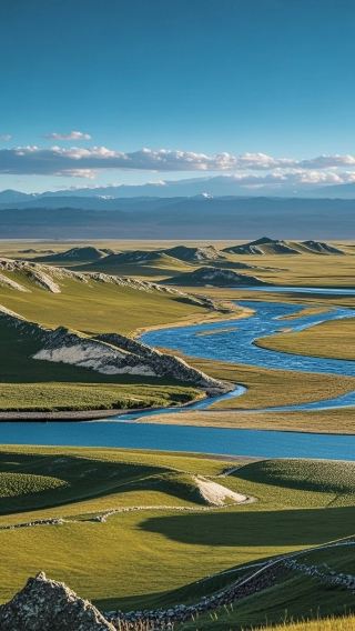 초원 여왕 코디 가이드