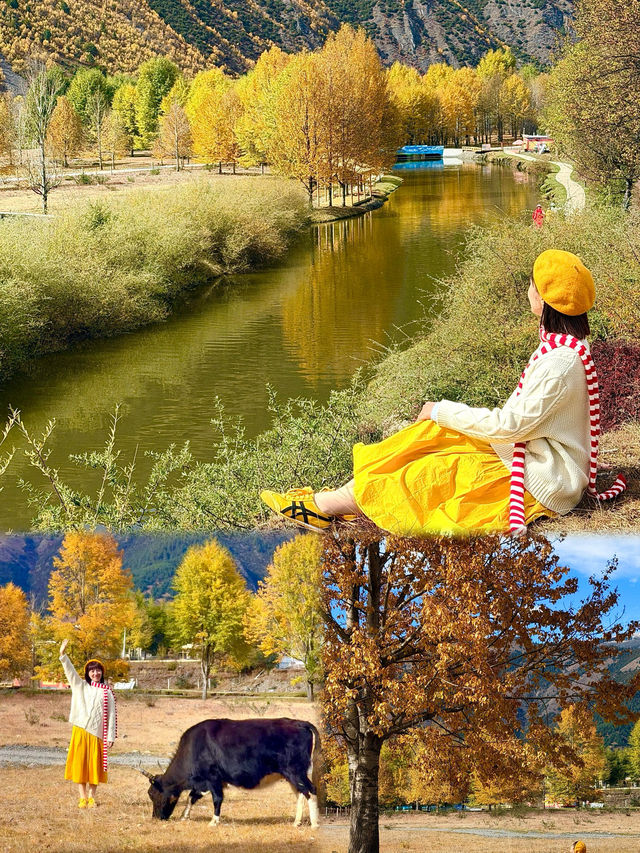 去康定，一定要自駕這條省道！