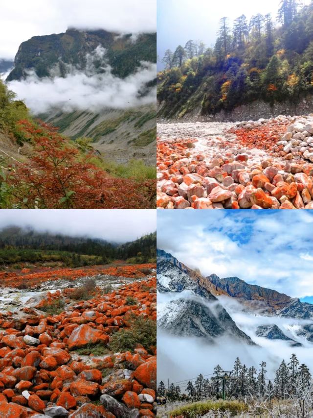 來海螺溝冰川,開啟一場冰火交融的夢幻旅行 來海螺溝冰川,開啟一場冰火交融的夢幻旅行