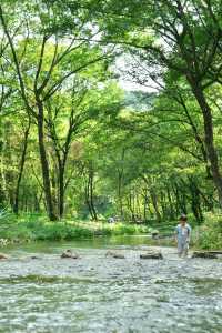 迄今去過最鬆弛的江浙滬小城，奈何不火