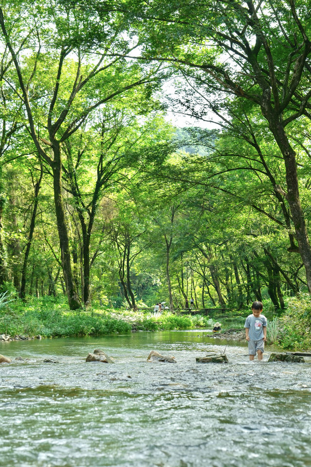 迄今去過最鬆弛的江浙滬小城，奈何不火