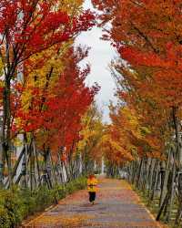 貴陽是五顏六色，多姿多彩的