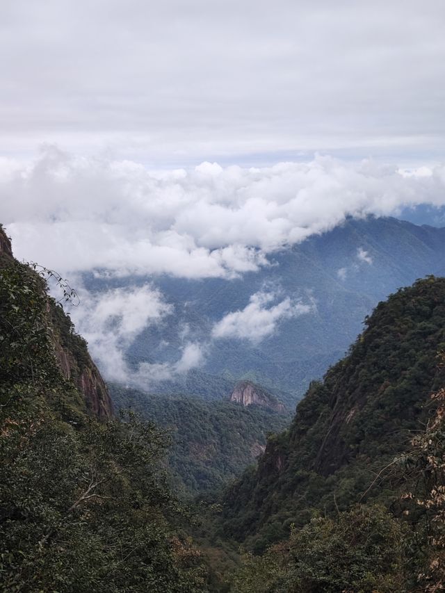 此生必爬的三清山｜雲霧繚繞的人間仙境