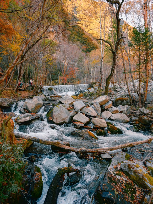 來回9小時，值回票價到喊晒！松坪溝嘅秋天簡直係神級啦