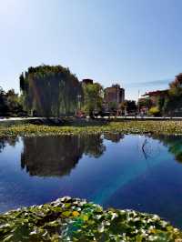 【河南省湯陰縣】城南公園。