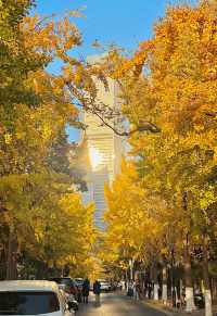 落葉、靜謐與時光感