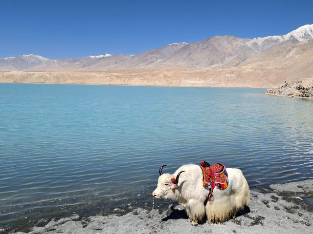 台灣人遊新疆之亞洲十字路口帕米爾高原 台灣人遊新疆之亞洲十字路口帕米爾高原