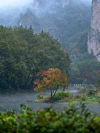 仙都雨天限定清冷感拉滿的避世之旅……