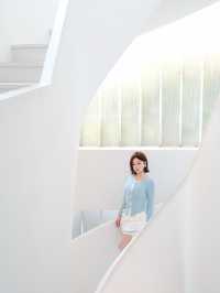 週末自駕莫干山帶毛孩子一起撒歡