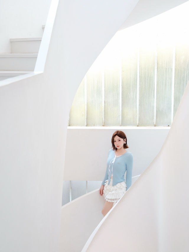 週末自駕莫干山帶毛孩子一起撒歡