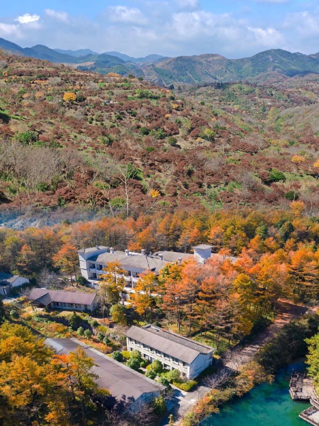 四明山的秋，是上帝打翻的調色盤