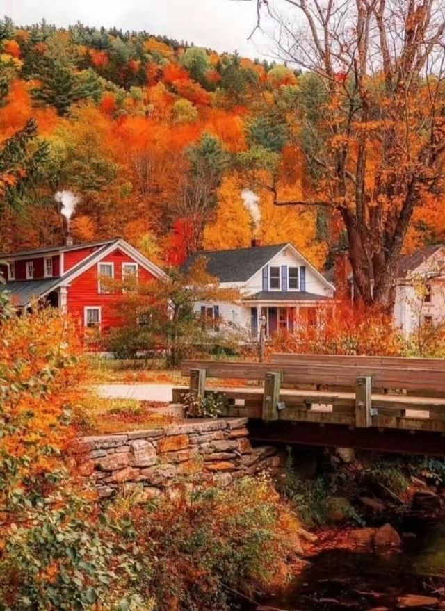 霜染鍋盔鋪錦繡 暖居枕秋入夢來