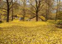 11月桂林深秋漫遊全攻略錯過等一年