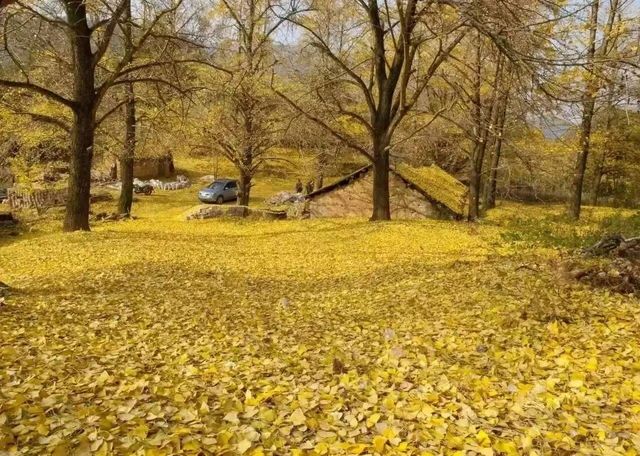 11月桂林深秋漫遊全攻略錯過等一年