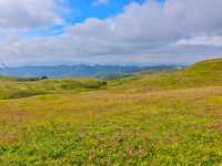 藏在貴州的 “高山小草原”，騎馬看雲超治癒！  貴州一處能 “假裝在內蒙古” 的寶藏地 —— 二台坡