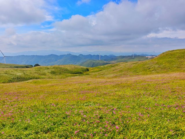 藏在貴州的 “高山小草原”，騎馬看雲超治癒！  貴州一處能 “假裝在內蒙古” 的寶藏地 —— 二台坡