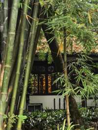 一秒穿越千年古庭院