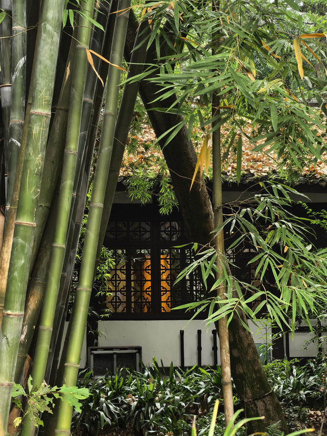 一秒穿越千年古庭院