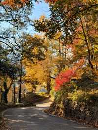 杭州周邊寶藏！紅葉指南村，秋日大片天花板