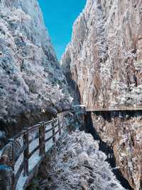 【莽山冬季仙境｜2天1夜霧淞溫泉全攻略！