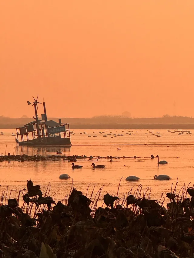 大膽預測，這裡將成為江西下一個頂流旅行地
