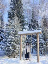 自駕新疆｜凜冬之際，與喀納斯的一場邂逅～