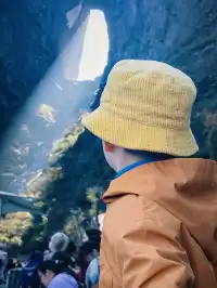 11月秋假|張家界旅遊4天3夜遛娃路線