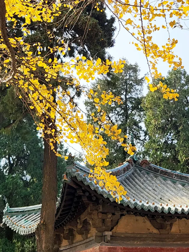 我宣佈,這是我河南最中意的小木頭房子 我宣佈,這是我河南最中意的小木頭房子