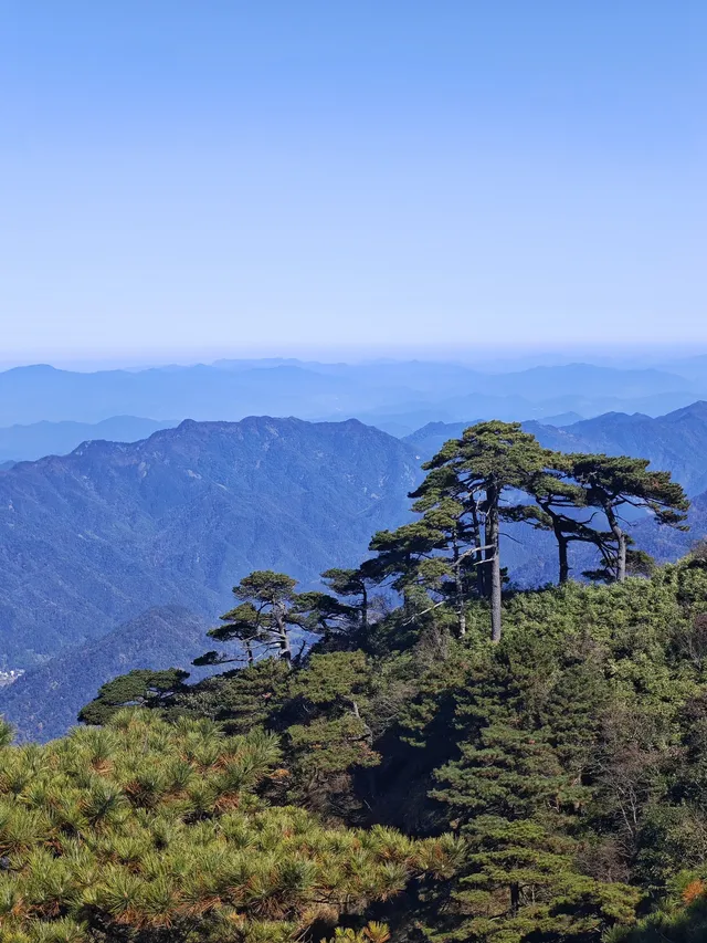 三清山的淡季青綠，比五嶽更懂打工人的放空