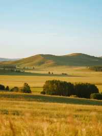 烏蘭布統親子行|草原秋日的治癒之旅