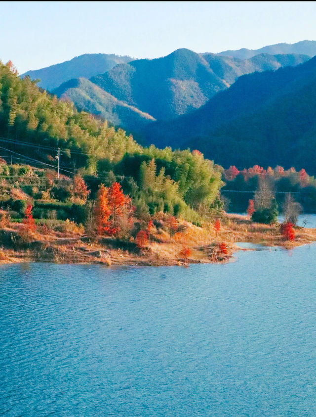 巧英水庫觀星指南