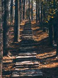 湖州冬日漫遊指南｜周邊5個寶藏地，藏著江南最暖的冬韻