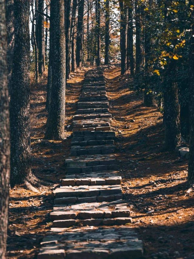 湖州冬日漫遊指南｜周邊5個寶藏地，藏著江南最暖的冬韻