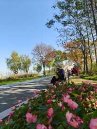 無錫6公里油畫輕徒步路線