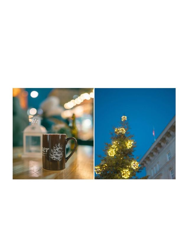 維也納聖誕奇遇記冬日童話般的夢幻之旅