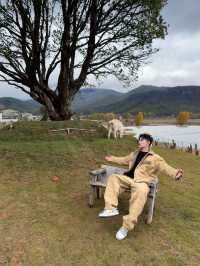 麗江小瑞士！住過一次就會愛上