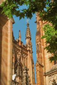 答應我！這輩子一定要在悉尼暴走一天！