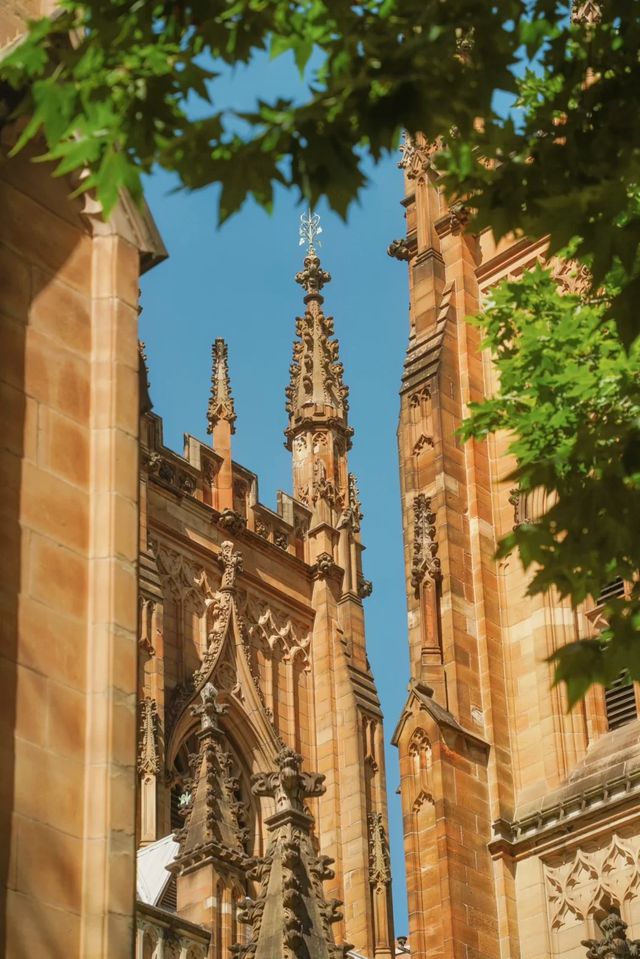 答應我！這輩子一定要在悉尼暴走一天！