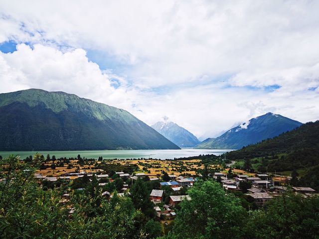 此生必駕,藏三一八。 此生必駕,藏三一八。