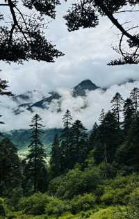 絕美金沙江梯田漫步