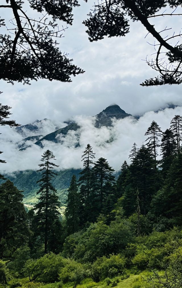 絕美金沙江梯田漫步 絕美金沙江梯田漫步