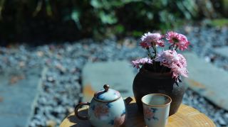 冬日治癒系民宿｜在綏寧鐵杉林苑泡一壺暖茶