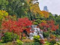 上海小京都這片楓葉階梯美到窒息!人少速來!