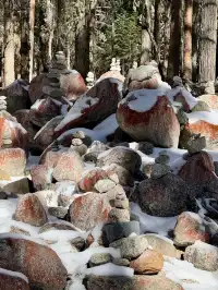 長坪溝美哭！雪山草甸徒步真的太治癒