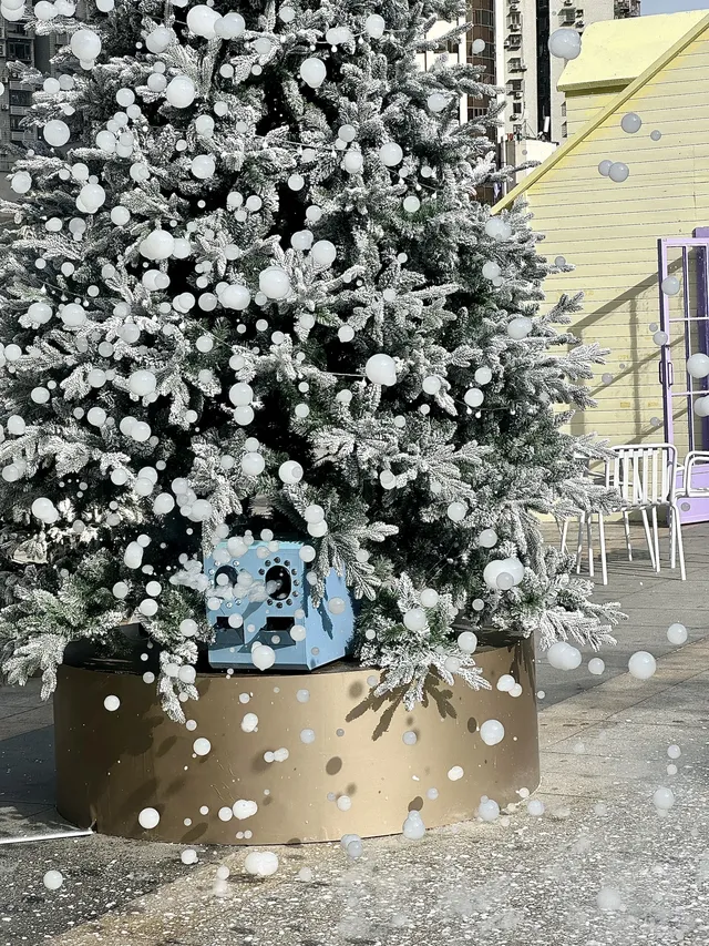 廈門墜入浪漫的冬日童話!12米星願樹啊啊啊啊 廈門墜入浪漫的冬日童話!12米星願樹啊啊啊啊