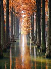 歡迎來旅遊打卡