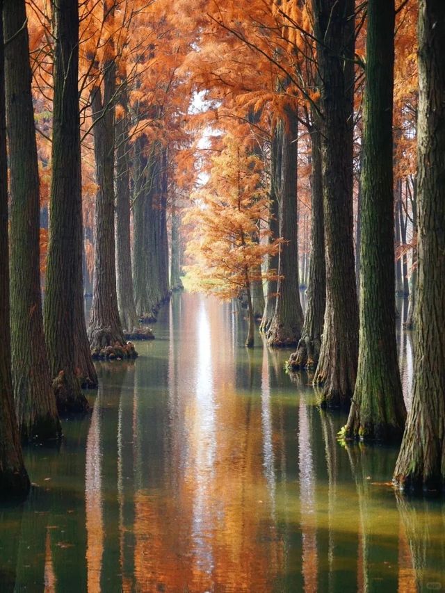 歡迎來旅遊打卡 歡迎來旅遊打卡