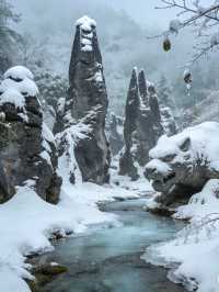 雪_石林華鎰山_四川廣安