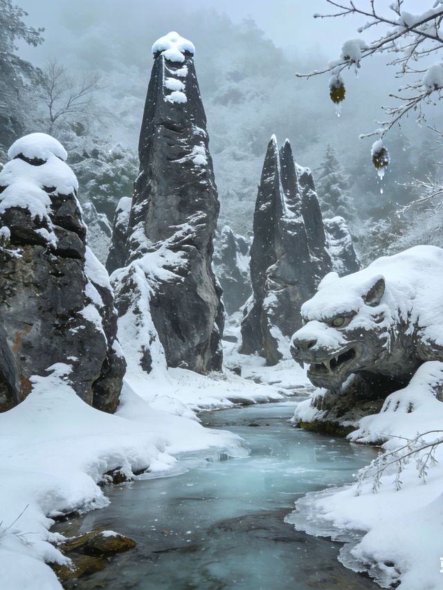雪_石林華鎰山_四川廣安 雪_石林華鎰山_四川廣安