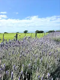 Melbourne週末好去處